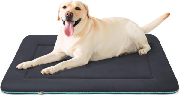 Magic Dog Large Dog Bed Review